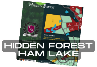 Hidden Forest Ham Lake