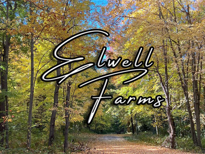 Elwell Farms Ham Lake