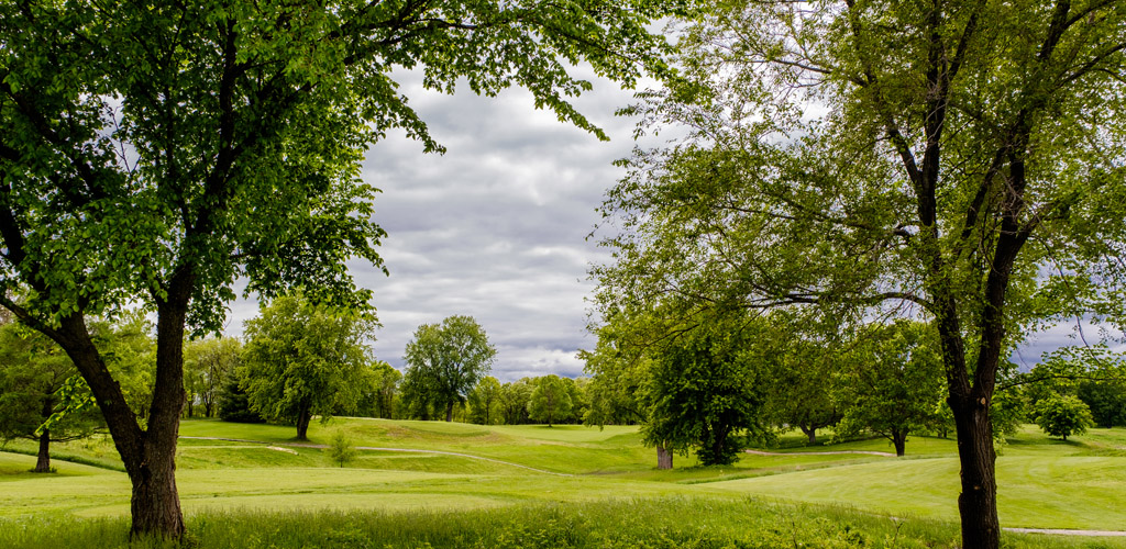 Photo of Royal Golf Club, Lake Elmo